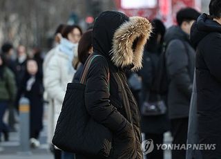 '입춘 강추위'…서울 노원구·강북구 한파경보 발효