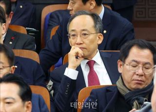 추경호, 이재명 반도체특별법 토론회 주재에 "역할극 놀이" 평가절하