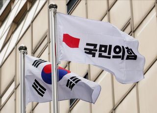 與, 이재명 위헌법률심판 신청에 "또 상습적 재판 지연 꼼수" 비판