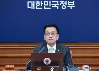 "2월 임시국회서 결론 내야"…최상목, 반도체특별법·추경 속도전 강조