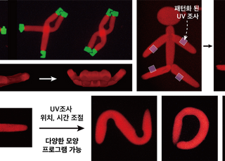 GIST, 빛 이용해 재구성이 가능한 마이크로 수화젤 개발