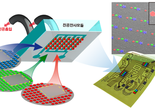 2월 과학기술인상, 이건재 KAIST 석좌교수 선정