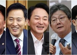 '범여권 후보 적합도'…김문수 38.8% 오세훈 14.7% 홍준표 13.7% 한동훈 12.0% [데일리안 여론조사]