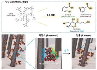 '탈모 최대 90% 감소'…KAIST, 탄닌산 기반 코팅 기술 활용한 탈모 예방 기술 개발