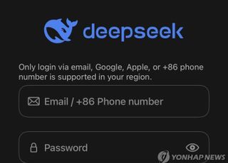 서울시 "딥시크 안전성 확보될 때까지 접속 차단"