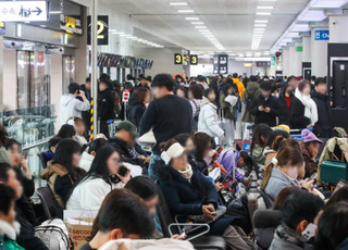 강풍·눈보라에 제주 항공편 무더기 결항…이용객 2만명 발 묶였다