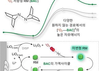 아주대 국제 공동 연구팀, 차세대 배터리 성능 개선 '산화-환원 매개체' 개발