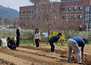 인천환경공단, 영종도 주말농장…“55면 무료 분양”