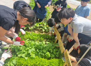 인천시농업기술센터, 원예교육 희망 초등학교 모집