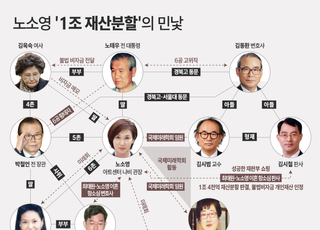 [뉴스분석 왜③] 노소영 '1조 재산분할'의 민낯…보이지 않는 '선(線)' 있었나