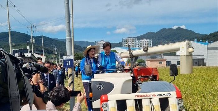 "대비되네"…與 귀책 구로청장 '책임 무공천'·野 귀책 담양군수 '후보 난립'