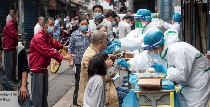 中 "신종 박쥐 코로나바이러스 발견…사람에 전파 가능"