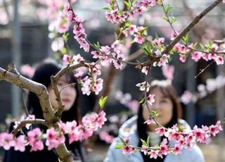 [내일날씨] 영하권 추위 누그러진다…낮 최고 12도