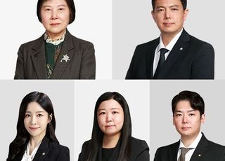 법무법인 대륜, 의약 리베이트 대응팀 강화…'약사·공정거래 전문가' 배치