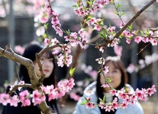 [내일날씨] 낮 기온 최고 15도 '포근'... 미세먼지는 '나쁨'