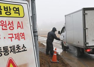 AI 특별방역대책기간 내달 14일까지 2주 연장