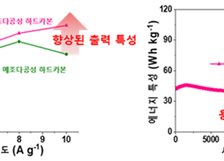 '리튬' 대체할 보급형 배터리 음극재 개발