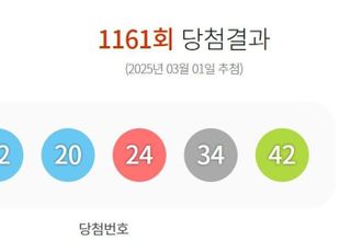 제1161회 로또 당첨번호 '2·12·20·24·34·42'번...1등 당첨 지역 어디?