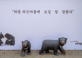 탄소 없는 청정지역…이곳이 바로 ‘하동별천지마을’ [배·태·랑]