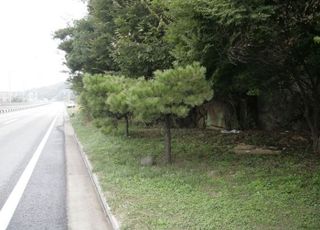 충남 서천서 실종신고된 여성 숨진 채 발견…용의자 긴급체포