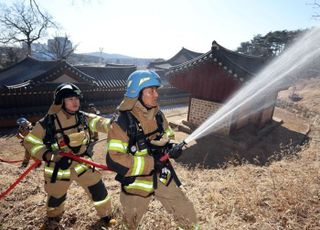 소방청, '산림전담 대응팀' 신설…대형 산불 조기 진화