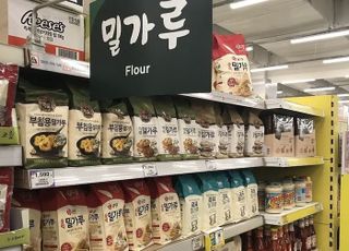 [데일리 푸드] 면·빵·베이커리 필수 재료 ‘밀가루’, 건강에는 악영향?