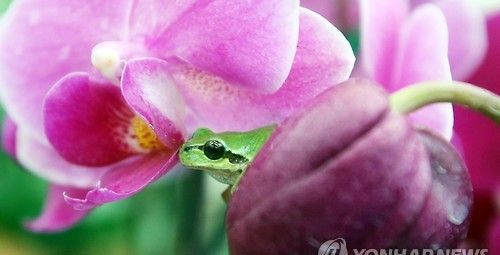 [오늘 날씨] 아침 최저 영하 3도, 강원산지·동해안 많은 눈…경칩에 먹는 제철 음식은