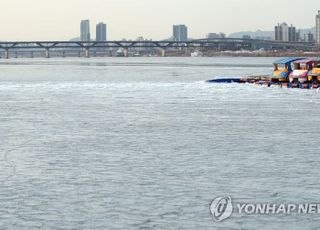 한강서 극단 선택하려던 父子, 아내이자 모친 살인 자백