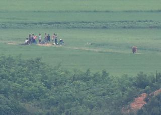 봄철 밀·보리 파종시작한 북 "농업전선은 사회주의수호전의 전초선"