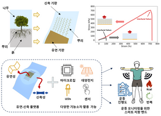 KAIST, 기존 한계 극복한 생체 모사 인터페이스 설계 개발