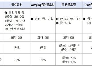 강소·중견기업 300개사 250억원 수출바우처 지원…해외 진출 컨설팅 등 제공