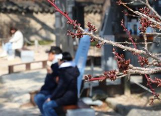 [오늘 날씨] 아침 쌀쌀 큰 일교차 주의...미세먼지에 좋은 한약재