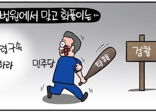 [D-시사만평] '尹 석방' 뺨은 법원에서 맞고 화풀이는 검찰에? '심우정 탄핵'한다는 민주당