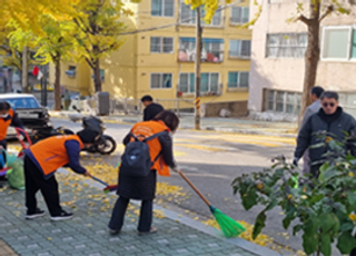 인천시, 푸른거리 함께 가꿀…가로수 지킴이 찾는다