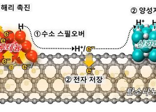 KAIST, 촉매 시스템 개발…이산화탄소 배출량↓ 암모니아 생산성↑