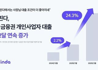 핀다, 1금융권 개인사업자 대출 2달 연속 증가