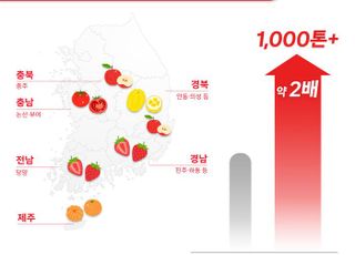 쿠팡, 전국서 과일 1000톤 넘게 대규모 매입…16일까지 할인전