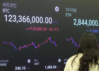 가상자산 시장, 트럼프 취임 후 24% 소멸