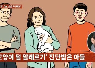 "반려묘 소중해, 알레르기 생긴 아들이 집 나가줬으면…" 부모가 털어놓은 속내