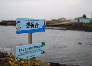 “너무 좋았수다” 해녀·비자림·그리고 힐링…생태관광의 모든 것 ‘제주 평대리’ [배.태.랑]