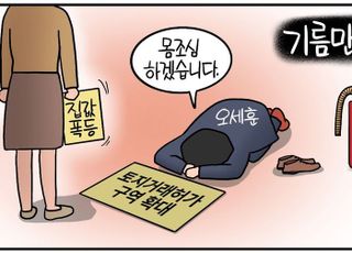 [D-시사만평] '집값 폭등'에 유턴한 '토허제'…부동산이 아킬레스