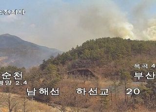 광양 옥곡면서 산불…산림당국, 59분 만에 진화완료