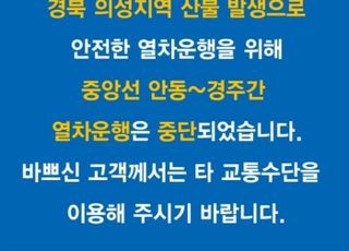 [속보] 의성 산불 원인은 '성묘객 실화'…'의성~안동 구간' 열차 운행 일시중지