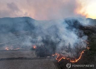 [속보] 중앙선 고속도로 안동분기점 전면차단…의성 산불 영향