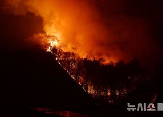 전국서 하루 새 산불 31건…한때 산림청 홈페이지 마비