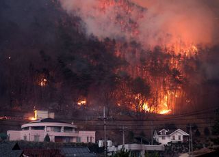 [속보] 청송서 60대 여성 소사상태 발견...경찰 "산불 사망 추정"