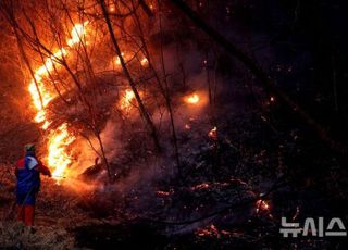 [속보] 산림당국 "경북 북부권 산불 사망자 15명으로 늘어"