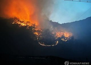 [속보] 법무부, 의성산불로 경북북부 제2교도소 수용자 500명 이송