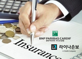 카디프생명·라이나손보 가입자 절반 이상 2년 못 버티고 해지