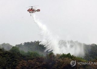 [속보] 산림청 "재발화한 대구 함지산 산불, 진화 완료…뒷불감시 전환"